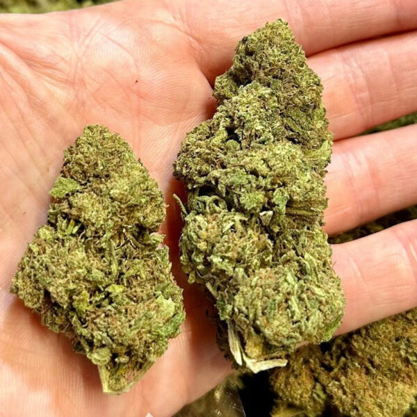 Fruit Cake CBD Feminized Seeds - Image 2